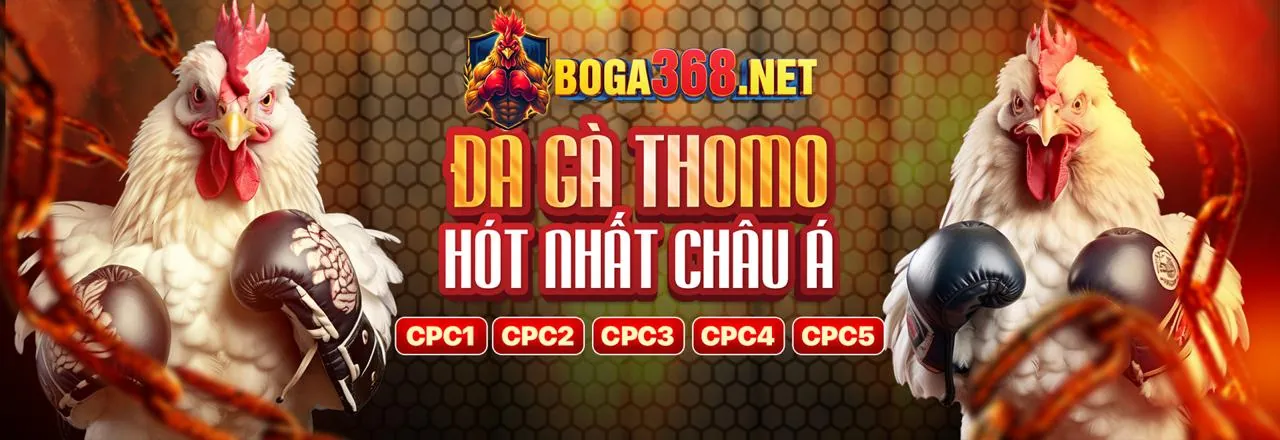 Sân đấu đá gà trực tuyến sôi động tại fb8bet